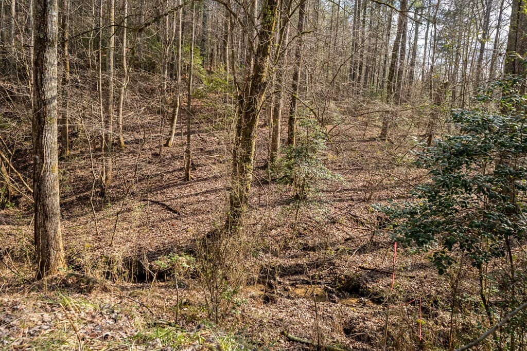 12 ACRE Pleasant Gap Road, Ellijay GA 30540 - Photo