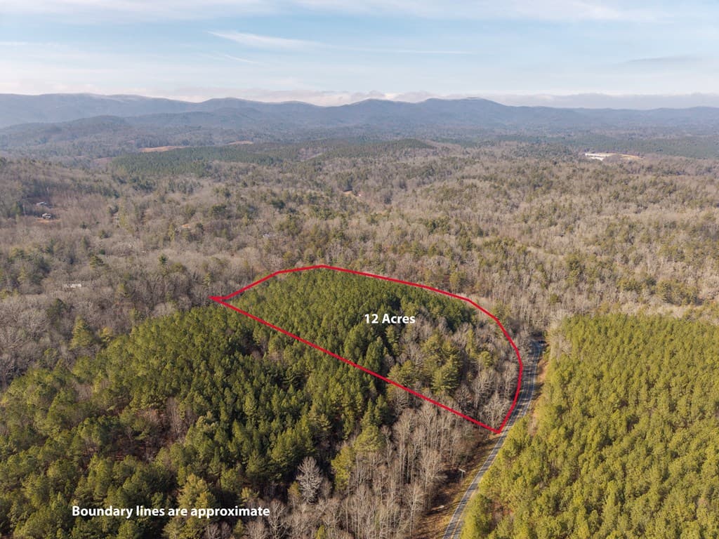 12 ACRE Pleasant Gap Road, Ellijay GA 30540 - Photo