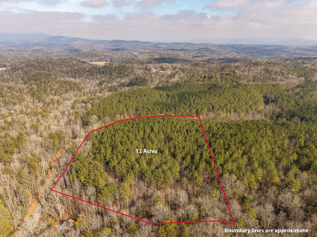 12 ACRE Pleasant Gap Road, Ellijay GA 30540 - Photo