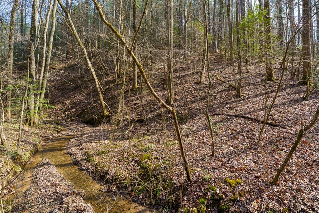 12 ACRE Pleasant Gap Road, Ellijay GA 30540 - Photo