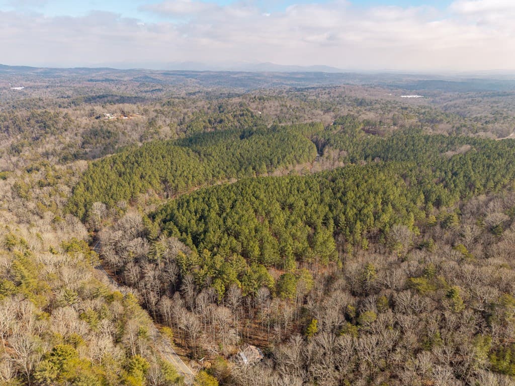 12 ACRE Pleasant Gap Road, Ellijay GA 30540 - Photo