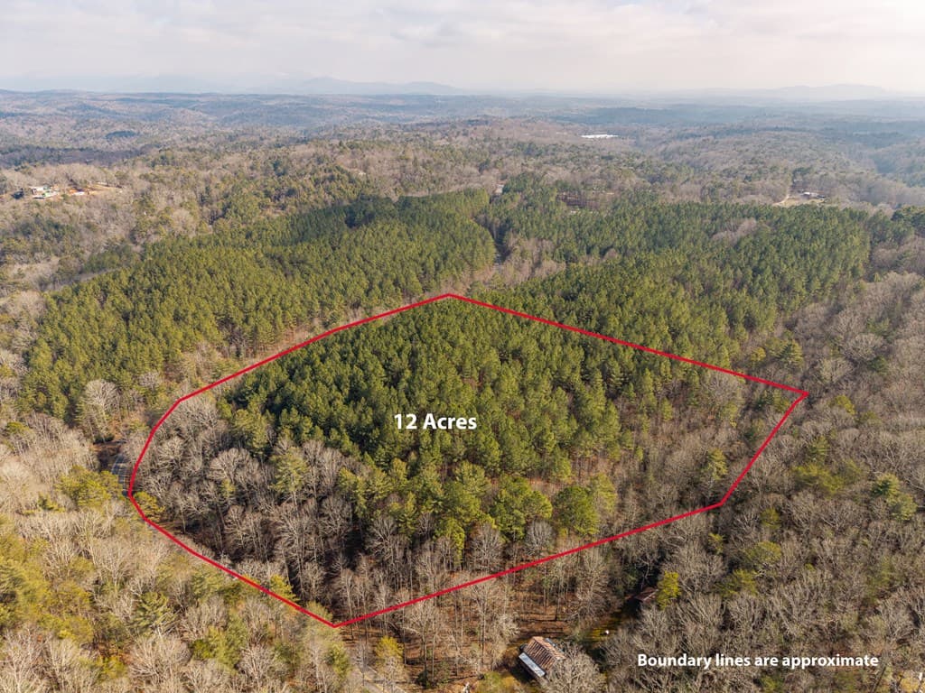 12 ACRE Pleasant Gap Road, Ellijay GA 30540 - Photo