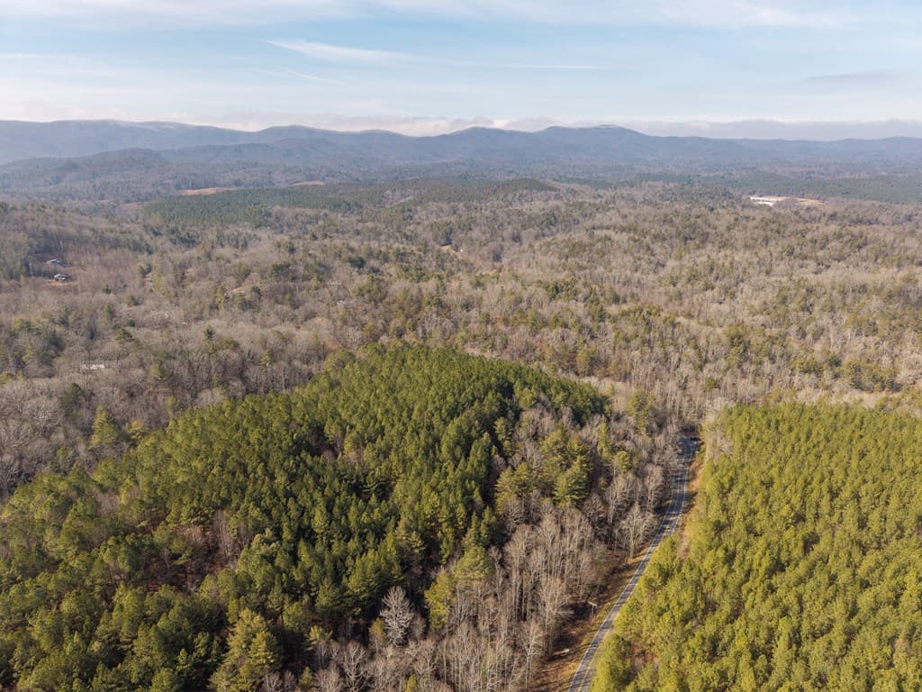 12 ACRE Pleasant Gap Road, Ellijay GA 30540 - Photo