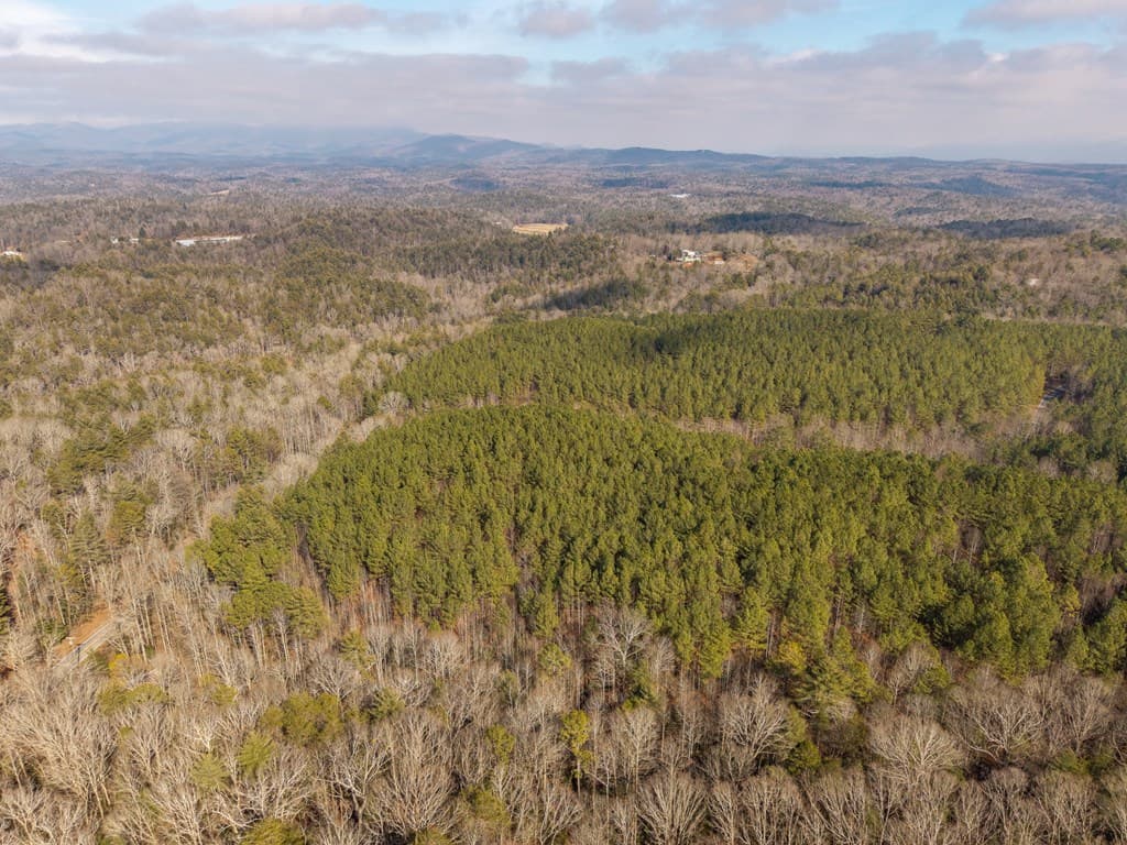 12 ACRE Pleasant Gap Road, Ellijay GA 30540 - Photo