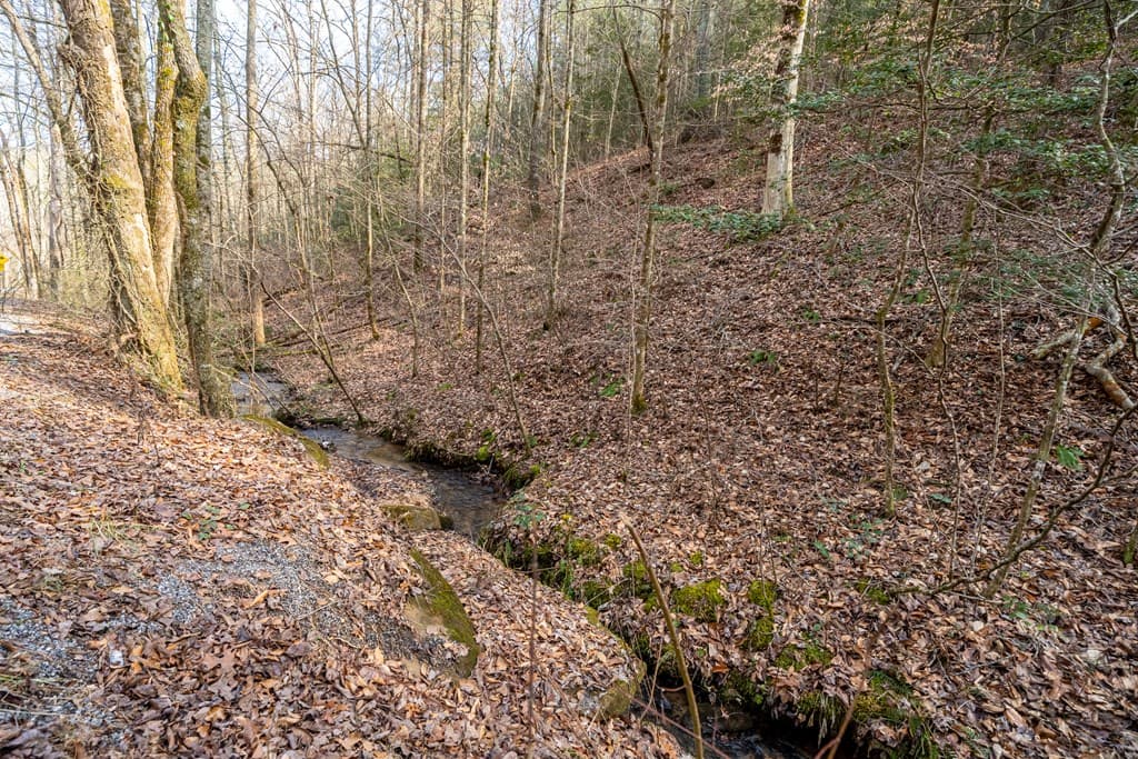 12 ACRE Pleasant Gap Road, Ellijay GA 30540 - Photo