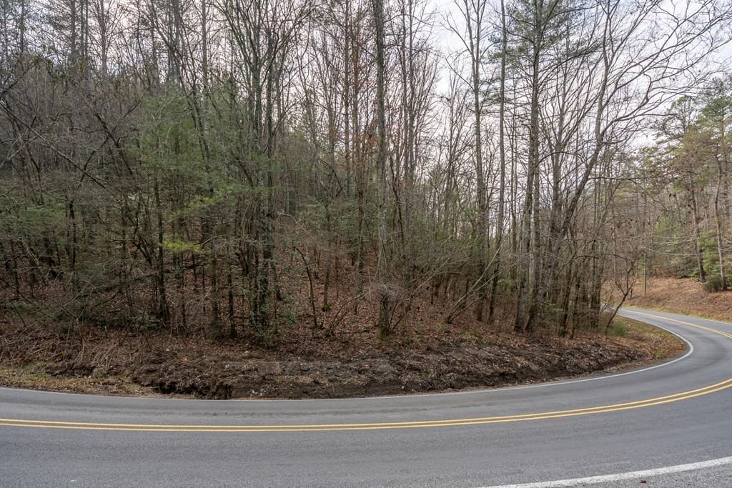 12 ACRE Pleasant Gap Road, Ellijay GA 30540 - Photo