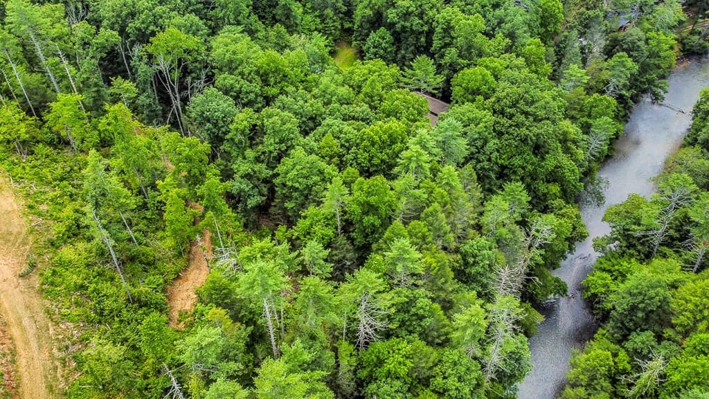 Tract A Hicks Ford Road, Ellijay GA 30540 - Photo