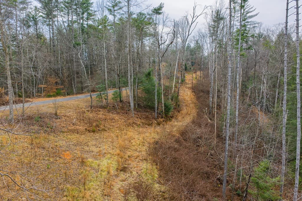 Tract A Hicks Ford Road, Ellijay GA 30540 - Photo