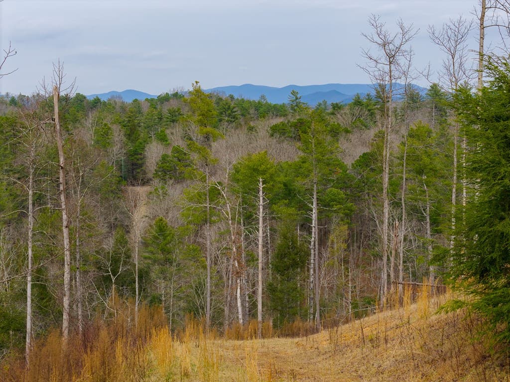 Tract A Hicks Ford Road, Ellijay GA 30540 - Photo