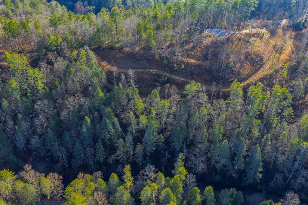 Tract B Hicks Ford Road, Ellijay GA 30540 - Photo