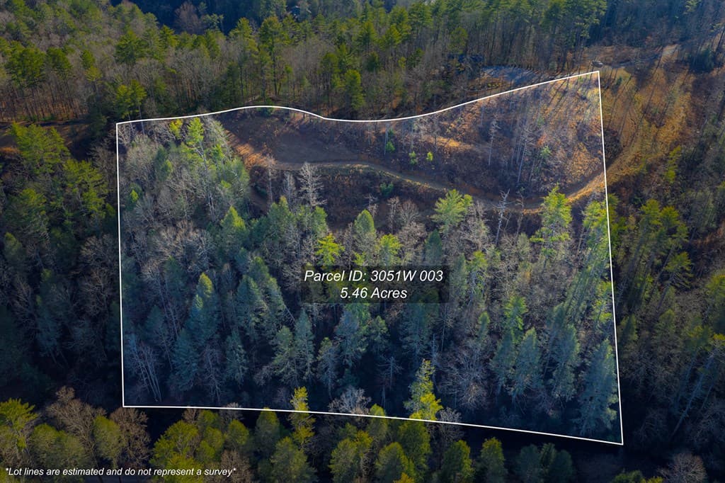 Tract B Hicks Ford Road, Ellijay GA 30540 - Photo