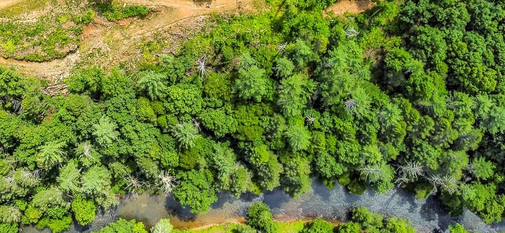 Tract B Hicks Ford Road, Ellijay GA 30540 - Photo