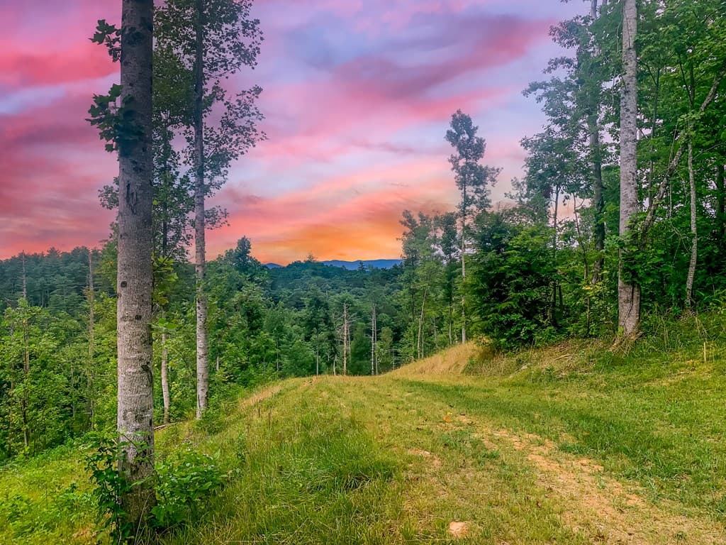 Tract B Hicks Ford Road, Ellijay GA 30540 - Photo