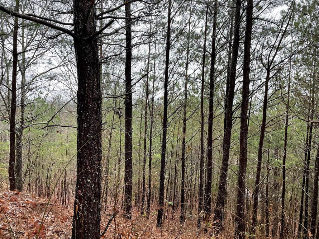 26 Sunset View, Blairsville GA 30512 - Photo