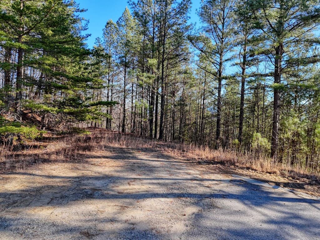 26 Sunset View, Blairsville GA 30512 - Photo
