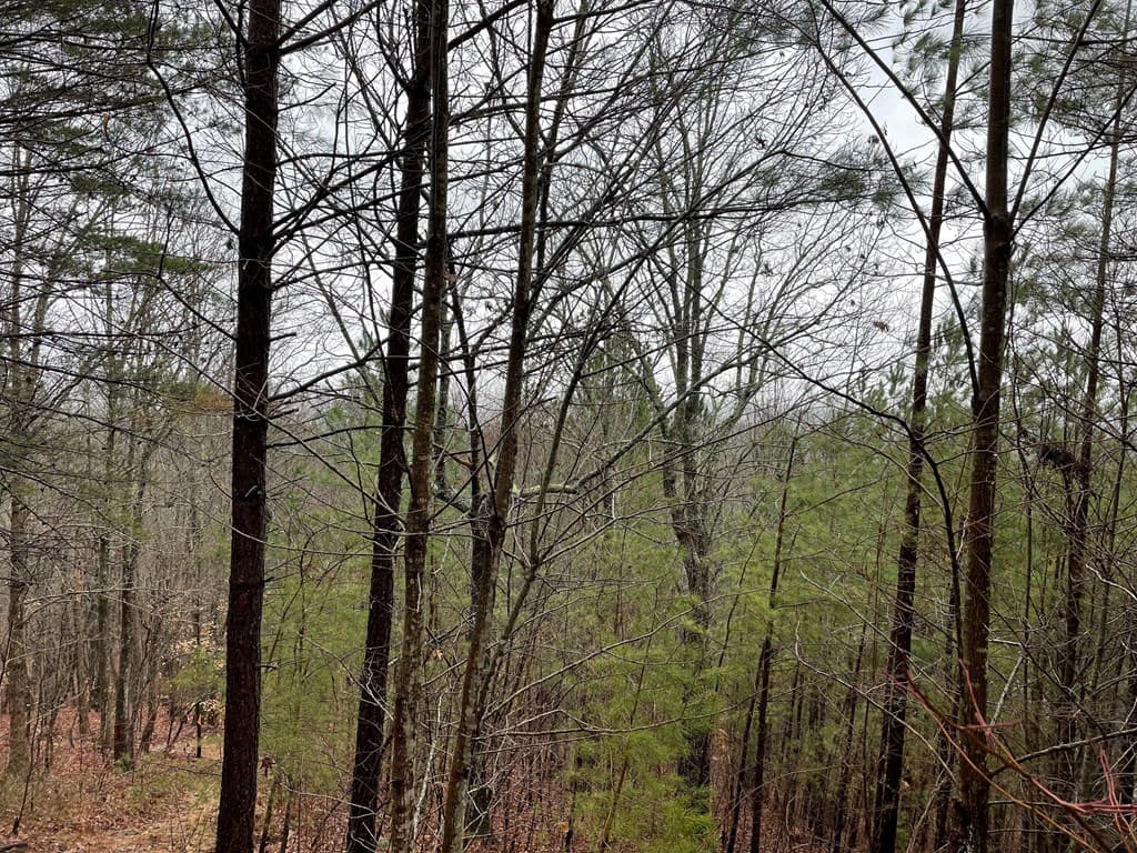 26 Sunset View, Blairsville GA 30512 - Photo