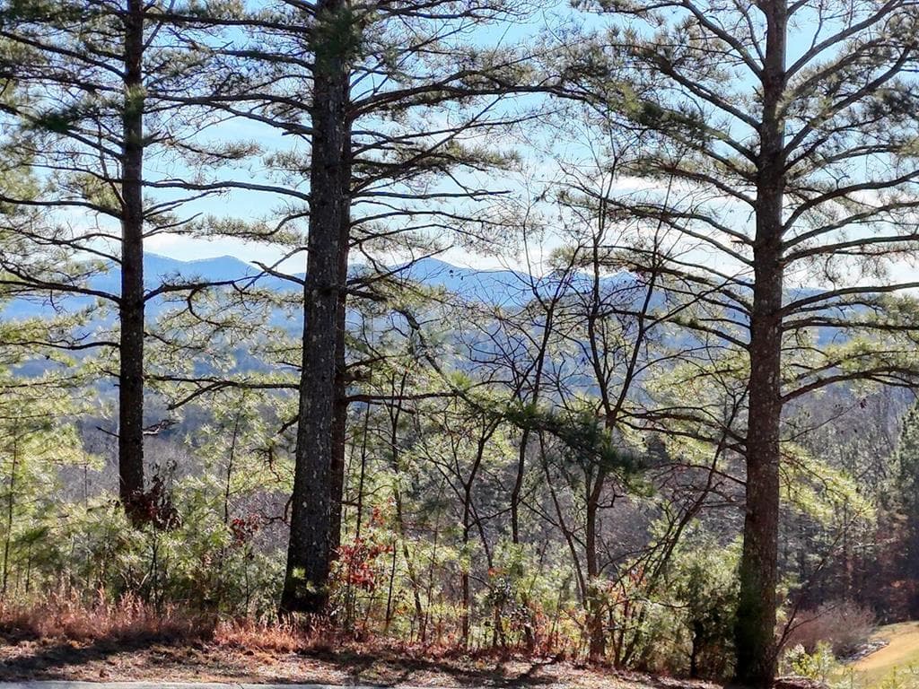 26 Sunset View, Blairsville GA 30512 - Primary photo