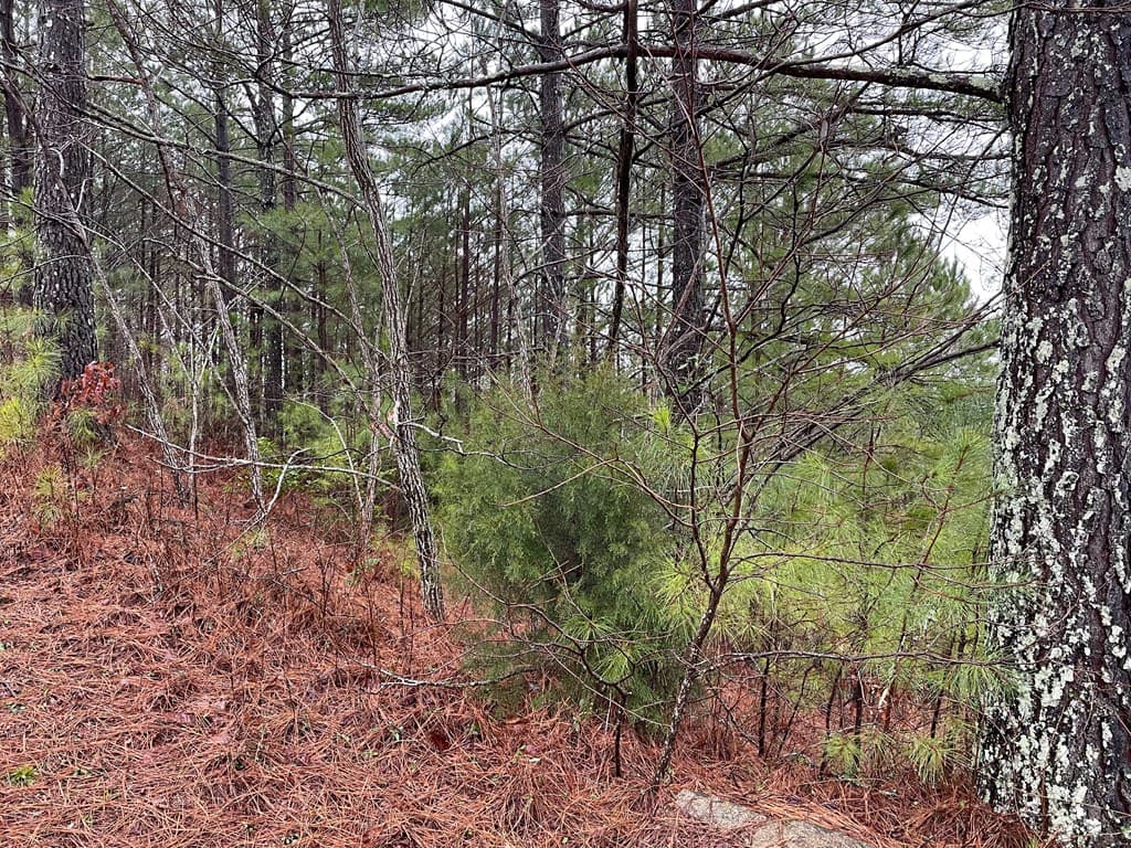 26 Sunset View, Blairsville GA 30512 - Photo