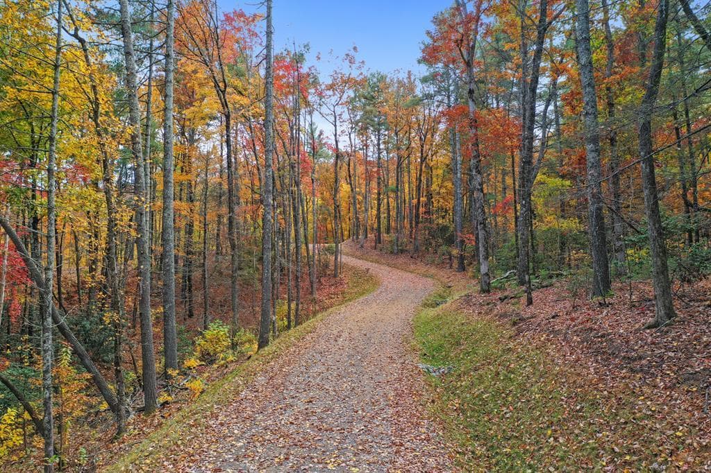 Lot 4 Wilderness Way, Blue Ridge GA 30513 - Photo