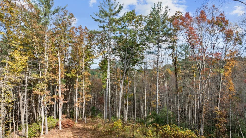 Lot 4 Wilderness Way, Blue Ridge GA 30513 - Photo