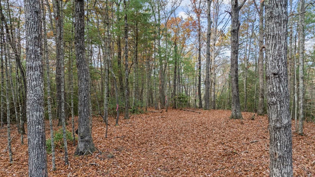 Lot 4 Wilderness Way, Blue Ridge GA 30513 - Photo