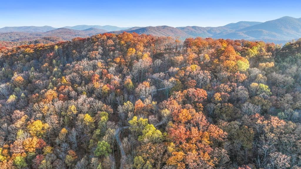 Lot 4 Wilderness Way, Blue Ridge GA 30513 - Primary photo