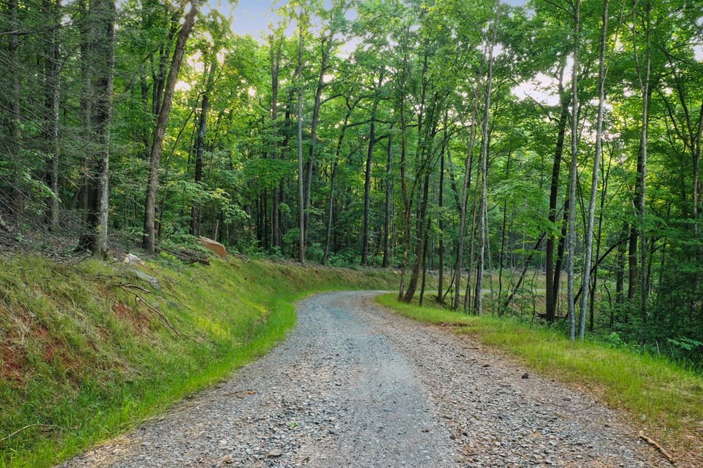 Lot 4 Wilderness Way, Blue Ridge GA 30513 - Photo