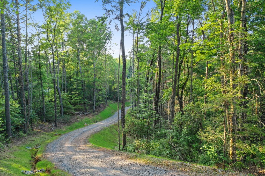 Lot 4 Wilderness Way, Blue Ridge GA 30513 - Photo