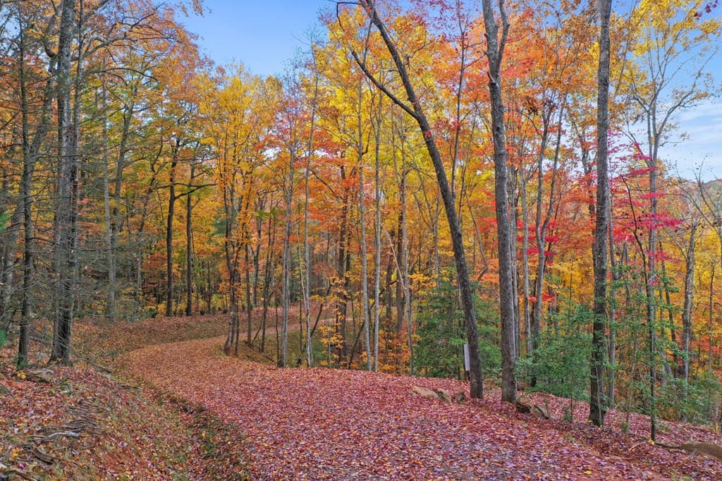 Lot 4 Wilderness Way, Blue Ridge GA 30513 - Photo