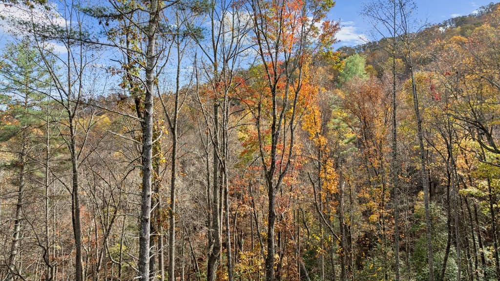 Lot 4 Wilderness Way, Blue Ridge GA 30513 - Photo