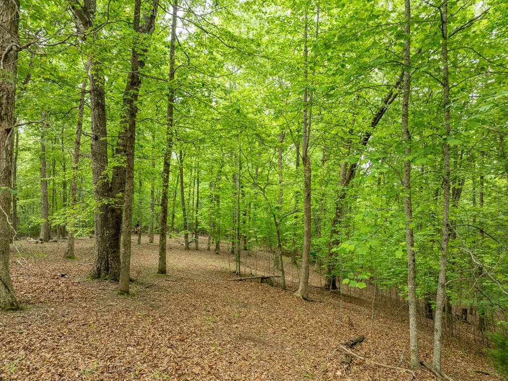 399 Hideaway Hills Road, Blairsville GA 30512 - Photo