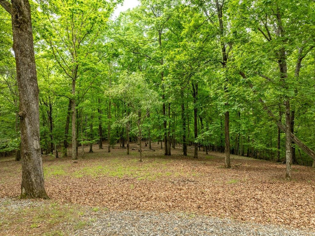 399 Hideaway Hills Road, Blairsville GA 30512 - Photo