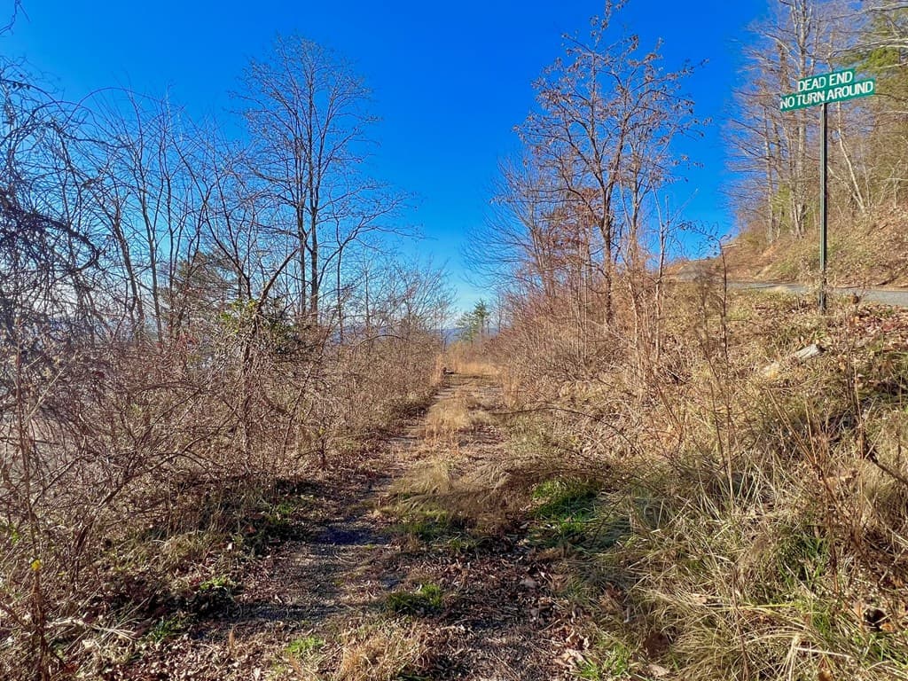 Lot 34 Carlin Road, Hiawassee GA 30546 - Photo
