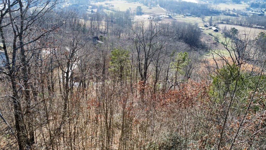 Lot 34 Carlin Road, Hiawassee GA 30546 - Photo