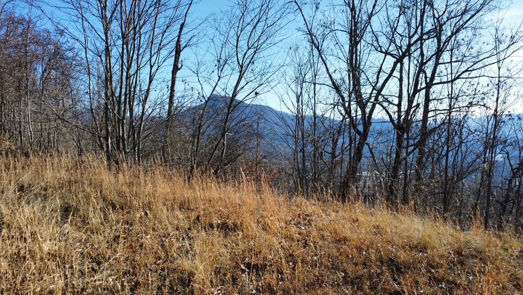 Lot 34 Carlin Road, Hiawassee GA 30546 - Photo