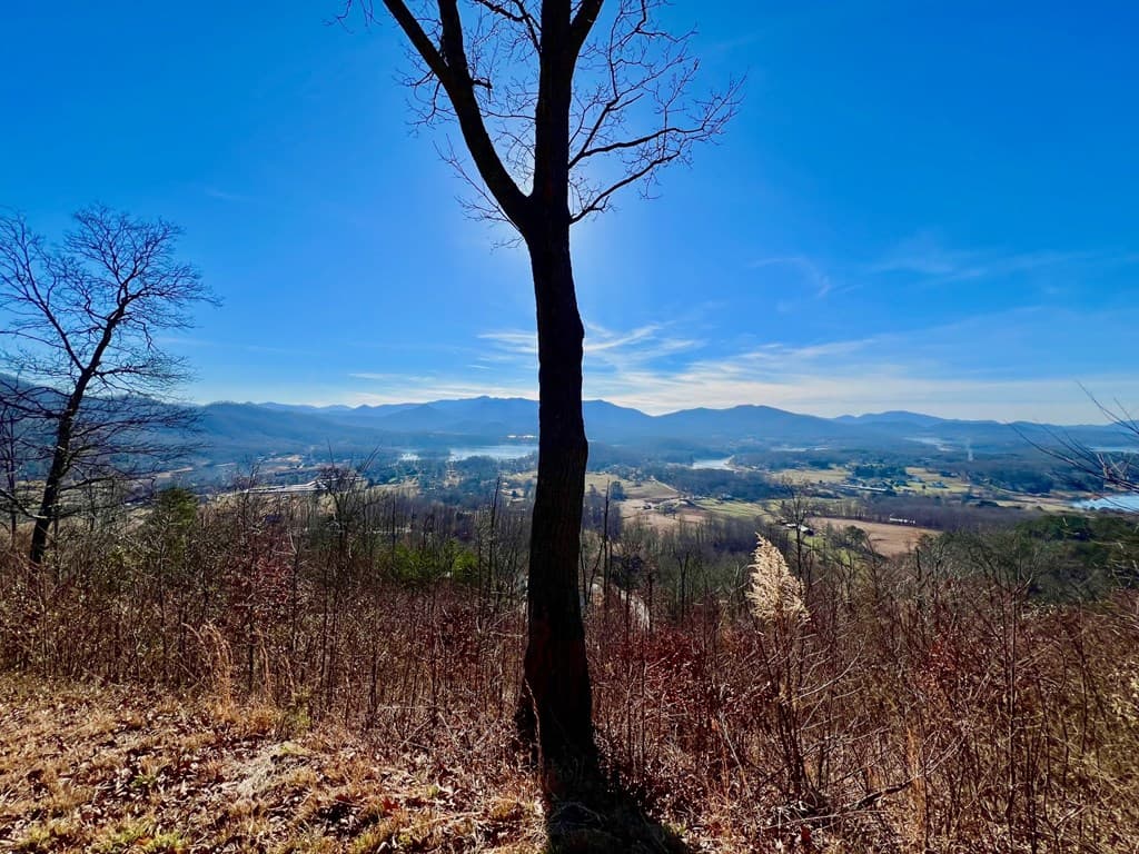 Lot 34 Carlin Road, Hiawassee GA 30546 - Photo