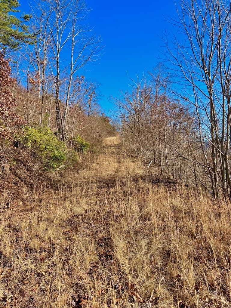 Lot 34 Carlin Road, Hiawassee GA 30546 - Photo