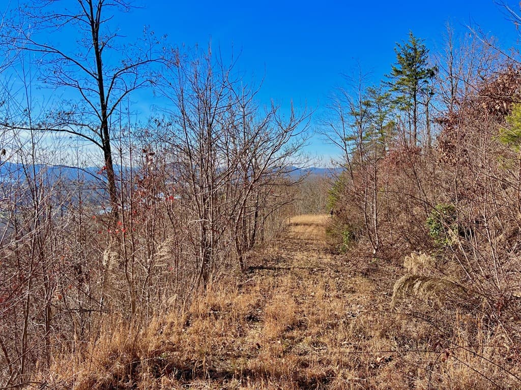 Lot 34 Carlin Road, Hiawassee GA 30546 - Photo