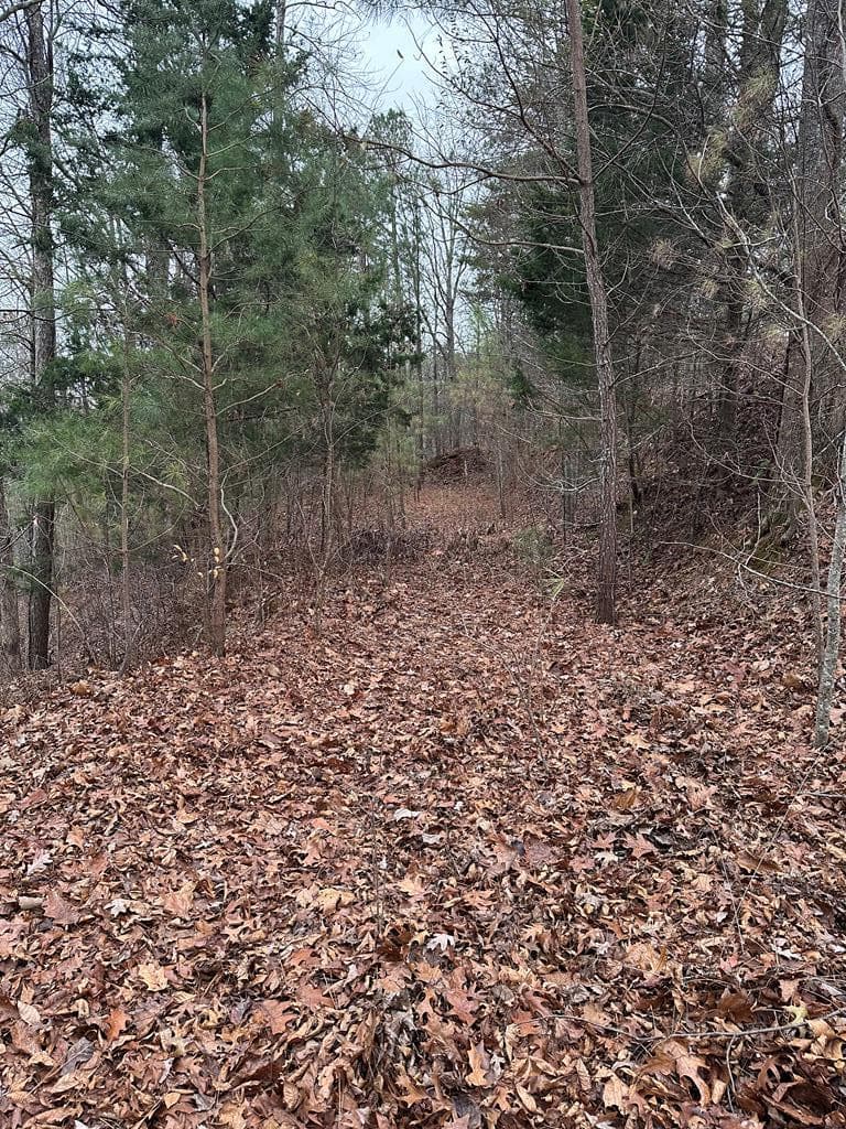 306 Oberlin Court, Ranger GA 30734 - Photo
