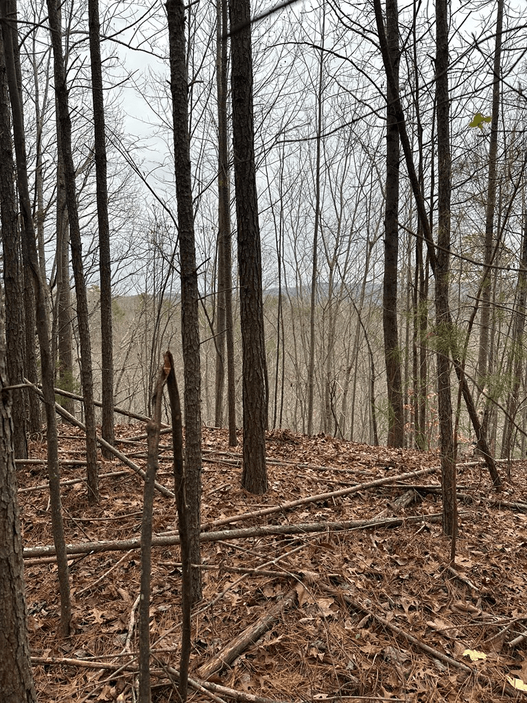 306 Oberlin Court, Ranger GA 30734 - Photo