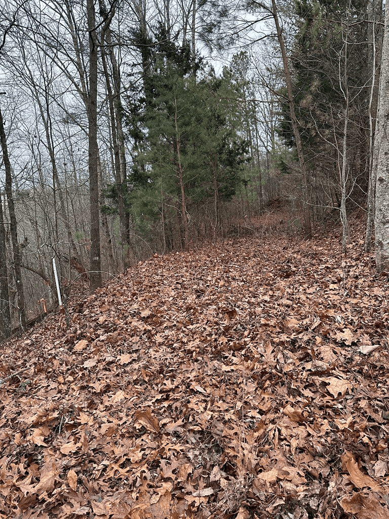 306 Oberlin Court, Ranger GA 30734 - Photo