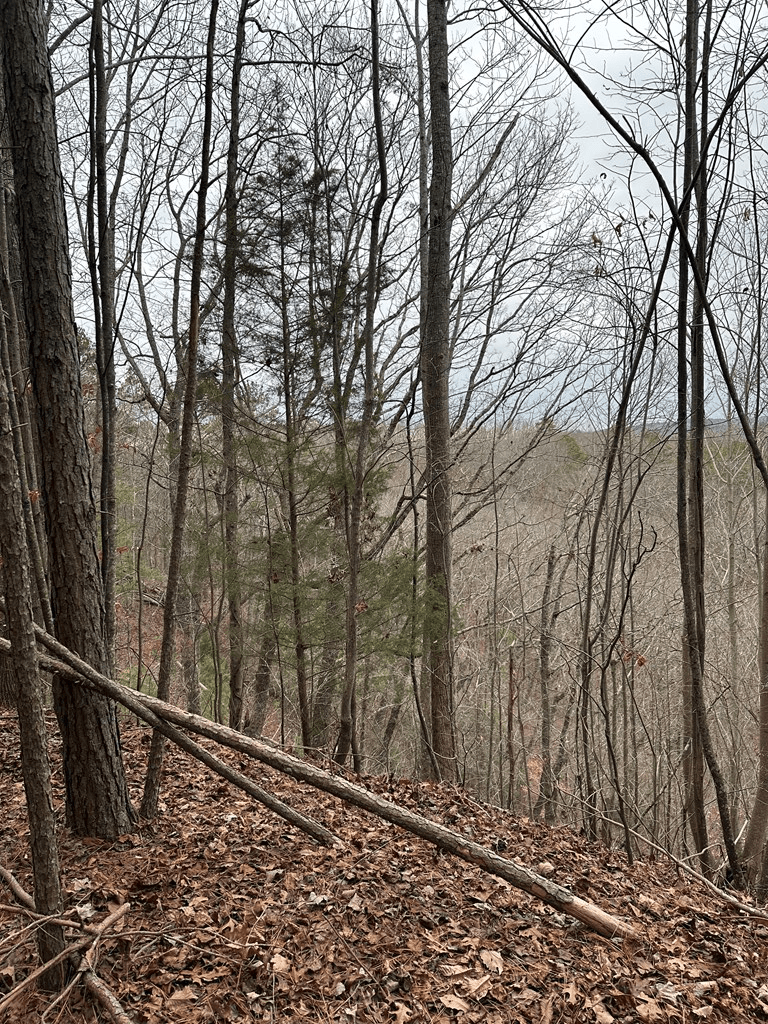 306 Oberlin Court, Ranger GA 30734 - Photo