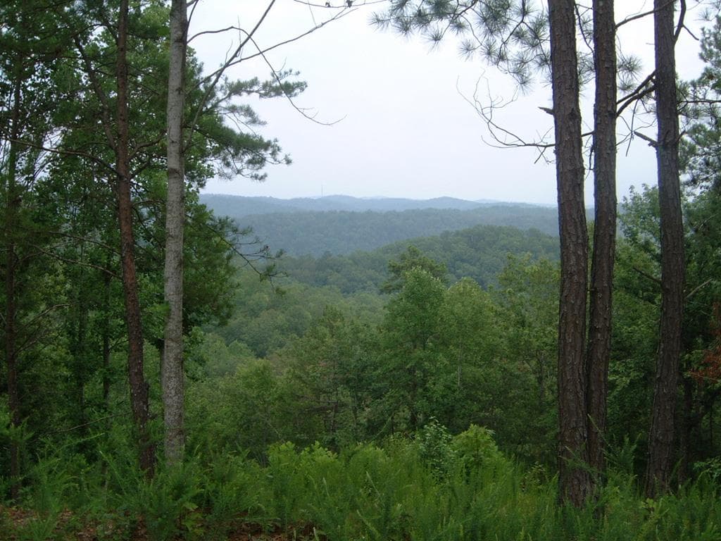 306 Oberlin Court, Ranger GA 30734 - Photo