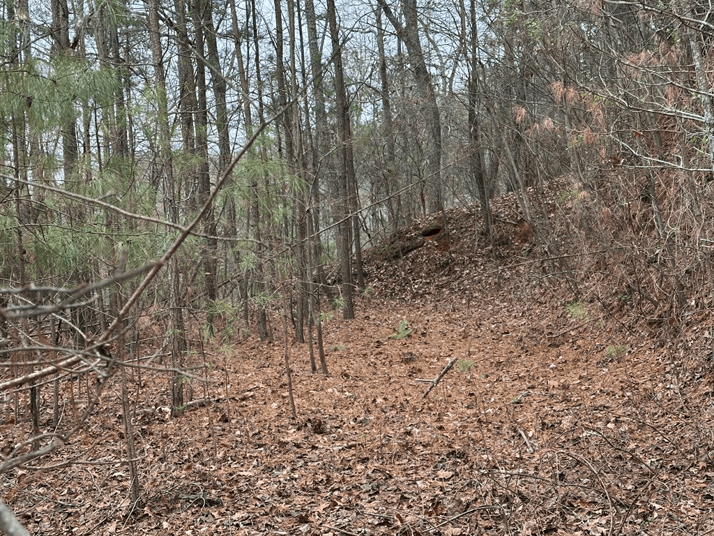 306 Oberlin Court, Ranger GA 30734 - Photo