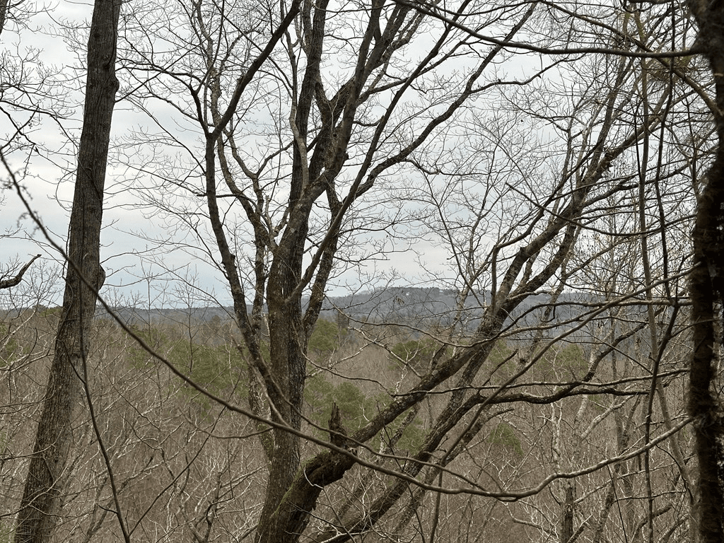 306 Oberlin Court, Ranger GA 30734 - Photo