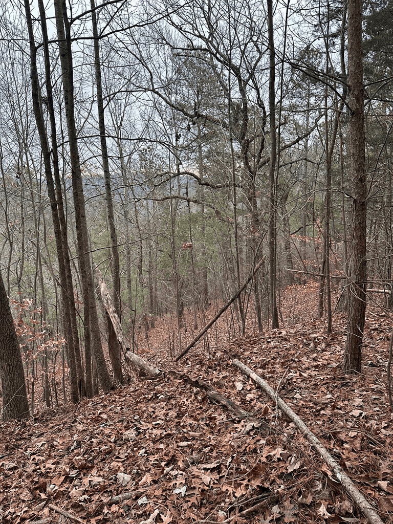 306 Oberlin Court, Ranger GA 30734 - Photo