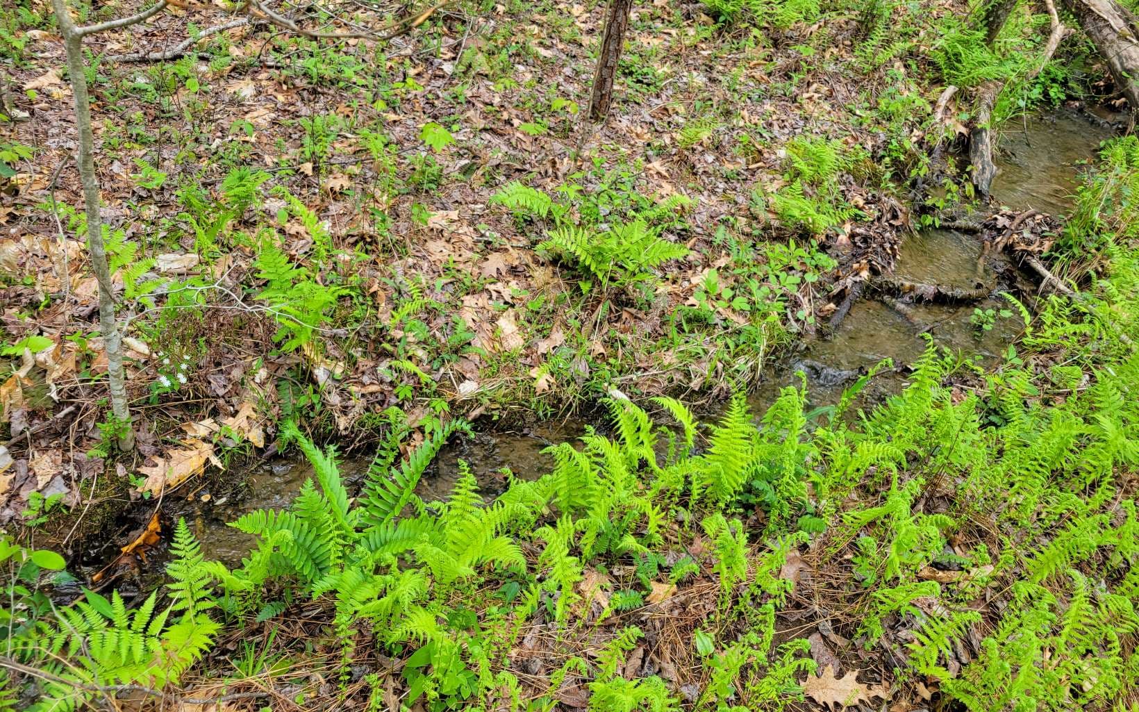LOT27 Oak Ridge Way, Ellijay GA 30536 - Photo