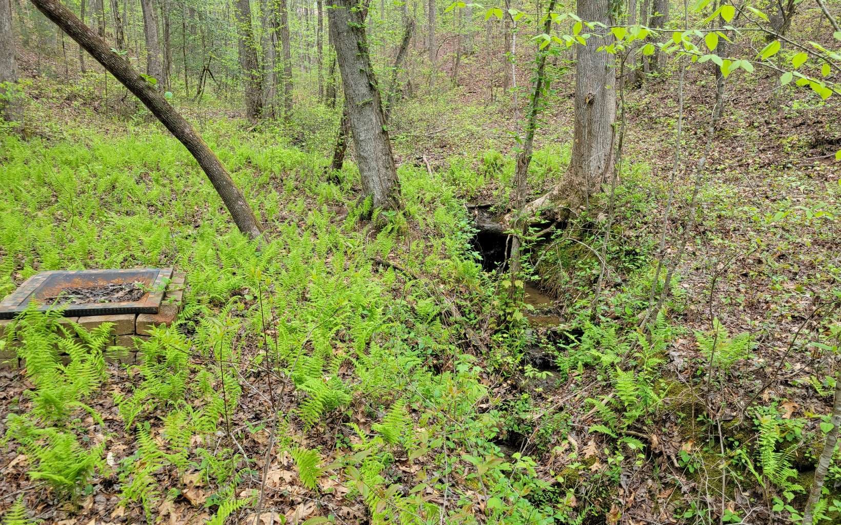 LOT27 Oak Ridge Way, Ellijay GA 30536 - Photo