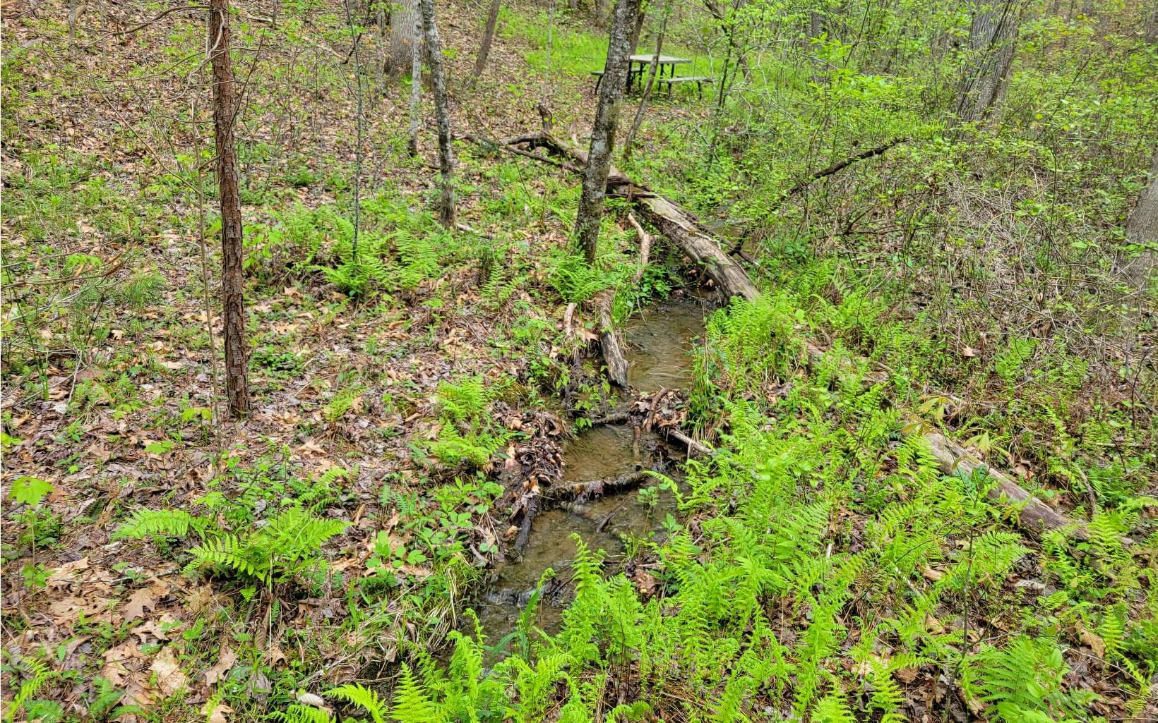 LOT27 Oak Ridge Way, Ellijay GA 30536 - Photo