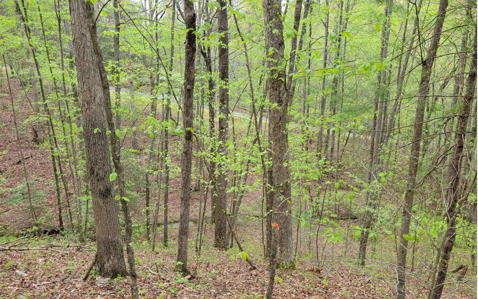 LOT27 Oak Ridge Way, Ellijay GA 30536 - Photo